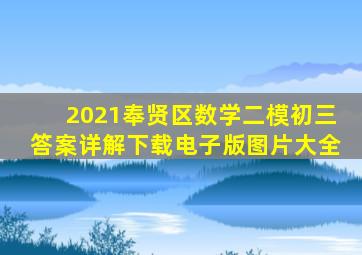 2021奉贤区数学二模初三答案详解下载电子版图片大全