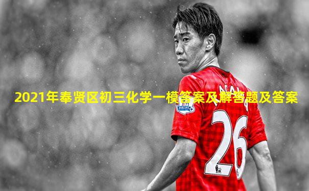 2021年奉贤区初三化学一模答案及解答题及答案