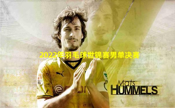 2022年羽毛球世锦赛男单决赛
