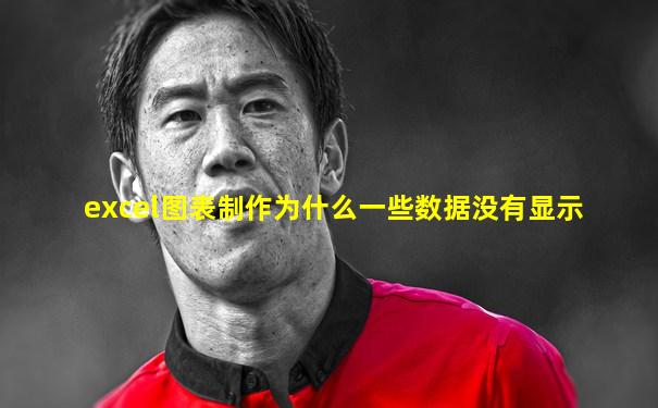 excel图表制作为什么一些数据没有显示