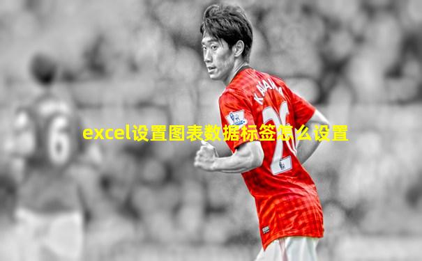 excel设置图表数据标签怎么设置