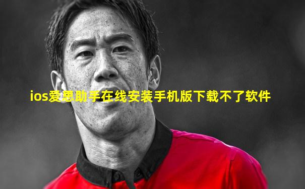 ios爱思助手在线安装手机版下载不了软件