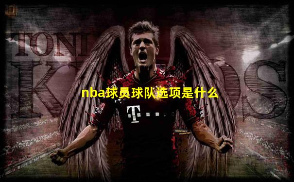 nba球员球队选项是什么