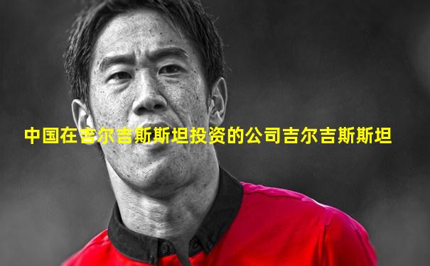 中国在吉尔吉斯斯坦投资的公司吉尔吉斯斯坦