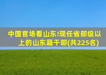 中国官场看山东!现任省部级以上的山东籍干部(共225名)