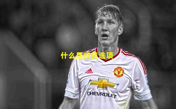 什么是球员选项