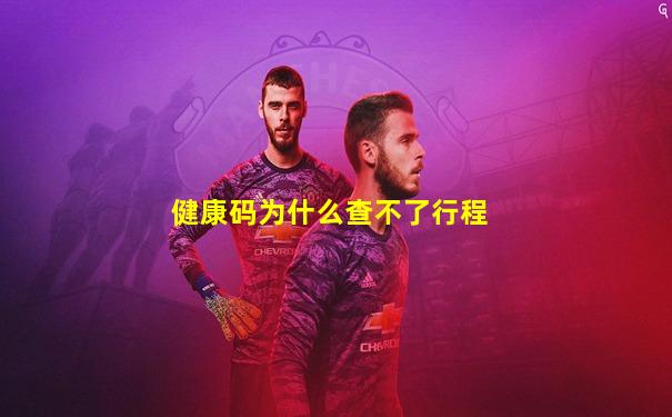 健康码为什么查不了行程
