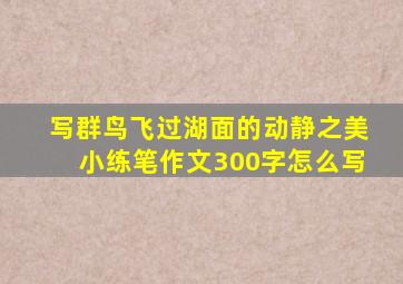 写群鸟飞过湖面的动静之美小练笔作文300字怎么写
