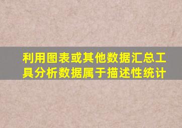 利用图表或其他数据汇总工具分析数据属于描述性统计