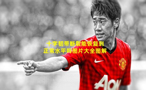 十字韧带断裂能恢复到正常水平吗图片大全图解