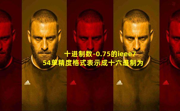 十进制数-0.75的ieee754单精度格式表示成十六进制为