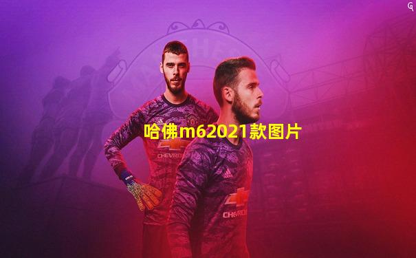 哈佛m62021款图片