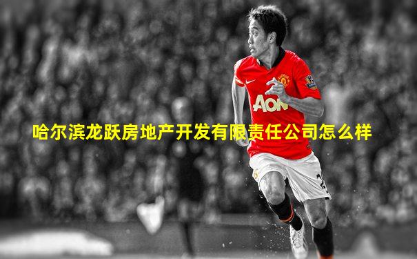 哈尔滨龙跃房地产开发有限责任公司怎么样