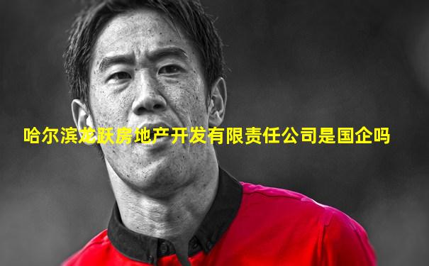 哈尔滨龙跃房地产开发有限责任公司是国企吗