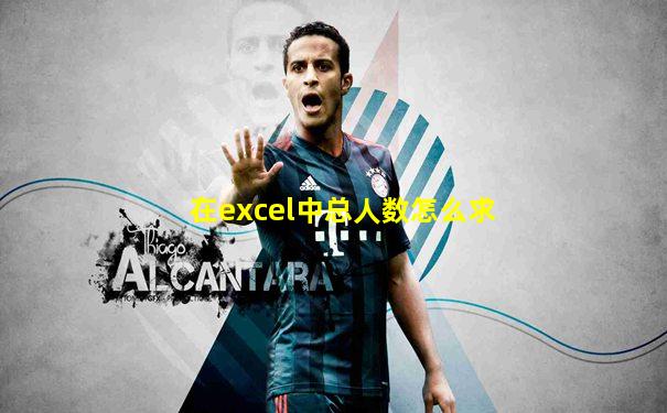 在excel中总人数怎么求