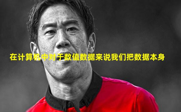 在计算机中对于数值数据来说我们把数据本身