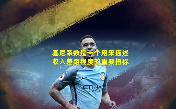 基尼系数是一个用来描述收入差距程度的重要指标