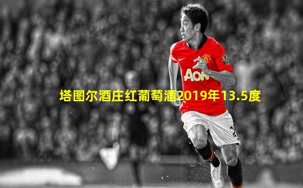 塔图尔酒庄红葡萄酒2019年13.5度