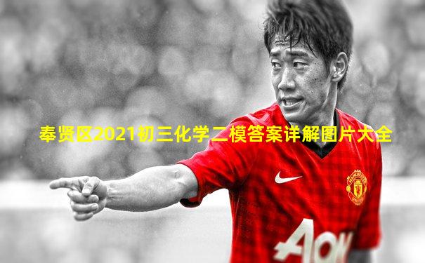 奉贤区2021初三化学二模答案详解图片大全