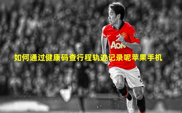 如何通过健康码查行程轨迹记录呢苹果手机