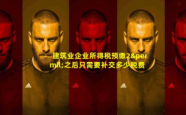 建筑业企业所得税预缴2‰之后只需要补交多少税费