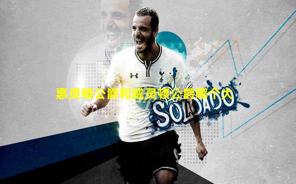 惠灵顿公爵和威灵顿公爵哪个大
