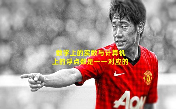 数学上的实数与计算机上的浮点数是一一对应的