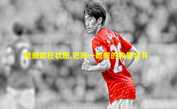 数据做柱状图,把同一数据的数量合并