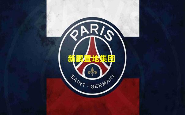新鹏置地集团