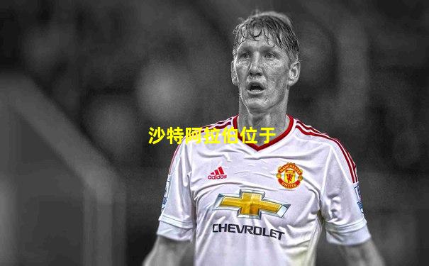 沙特阿拉伯位于