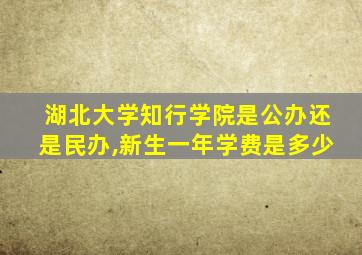 湖北大学知行学院是公办还是民办,新生一年学费是多少