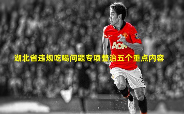 湖北省违规吃喝问题专项整治五个重点内容