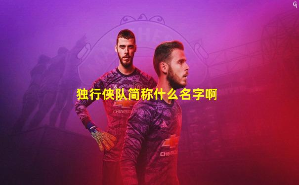 独行侠队简称什么名字啊