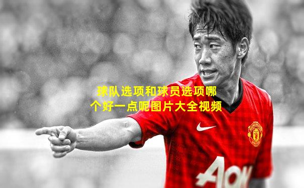 球队选项和球员选项哪个好一点呢图片大全视频