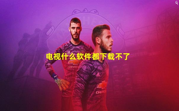 电视什么软件都下载不了