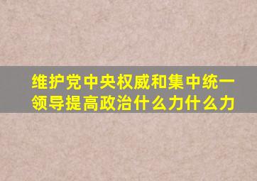 维护党中央权威和集中统一领导提高政治什么力什么力