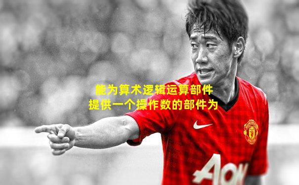 能为算术逻辑运算部件提供一个操作数的部件为