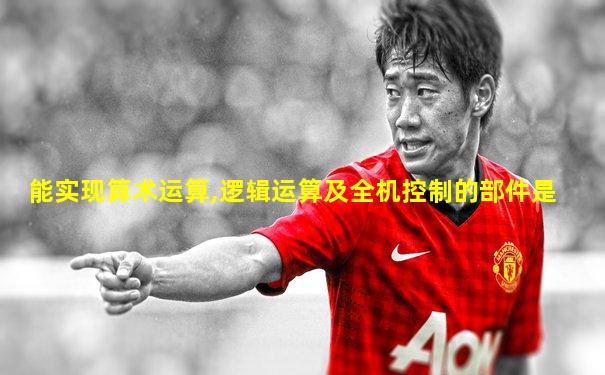 能实现算术运算,逻辑运算及全机控制的部件是