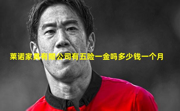 莱诺家具有限公司有五险一金吗多少钱一个月
