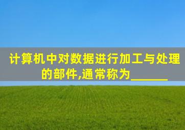 计算机中对数据进行加工与处理的部件,通常称为______
