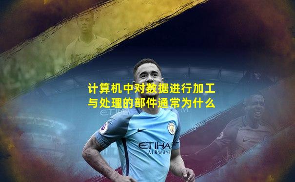 计算机中对数据进行加工与处理的部件通常为什么