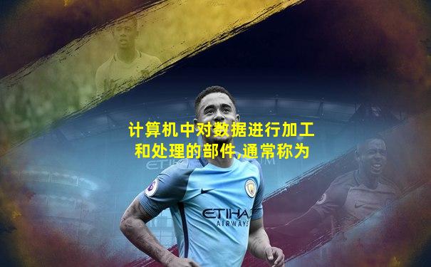 计算机中对数据进行加工和处理的部件,通常称为