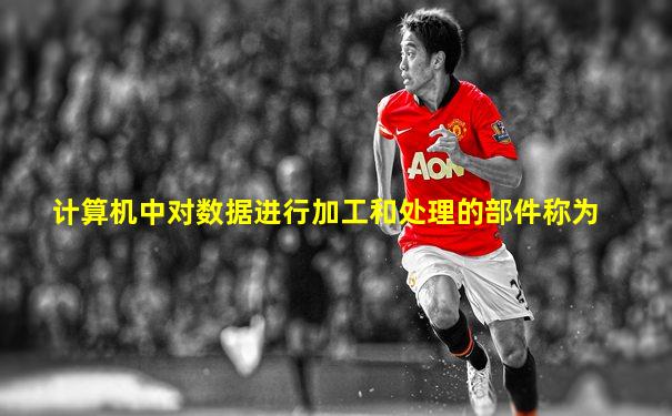 计算机中对数据进行加工和处理的部件称为