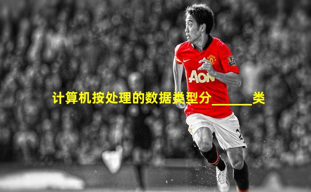 计算机按处理的数据类型分______类