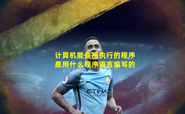 计算机能直接执行的程序是用什么程序语言编写的